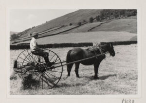 Man on horse and cart as part of Dialect and Heritage project